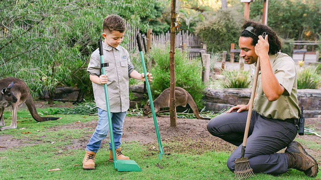 Víťaz súťaže A Moose Doo Doo Kangaroo si vykonal svoje upratovacie úlohy
