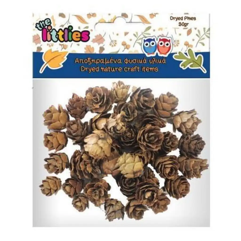 Sušené šišky 20 g