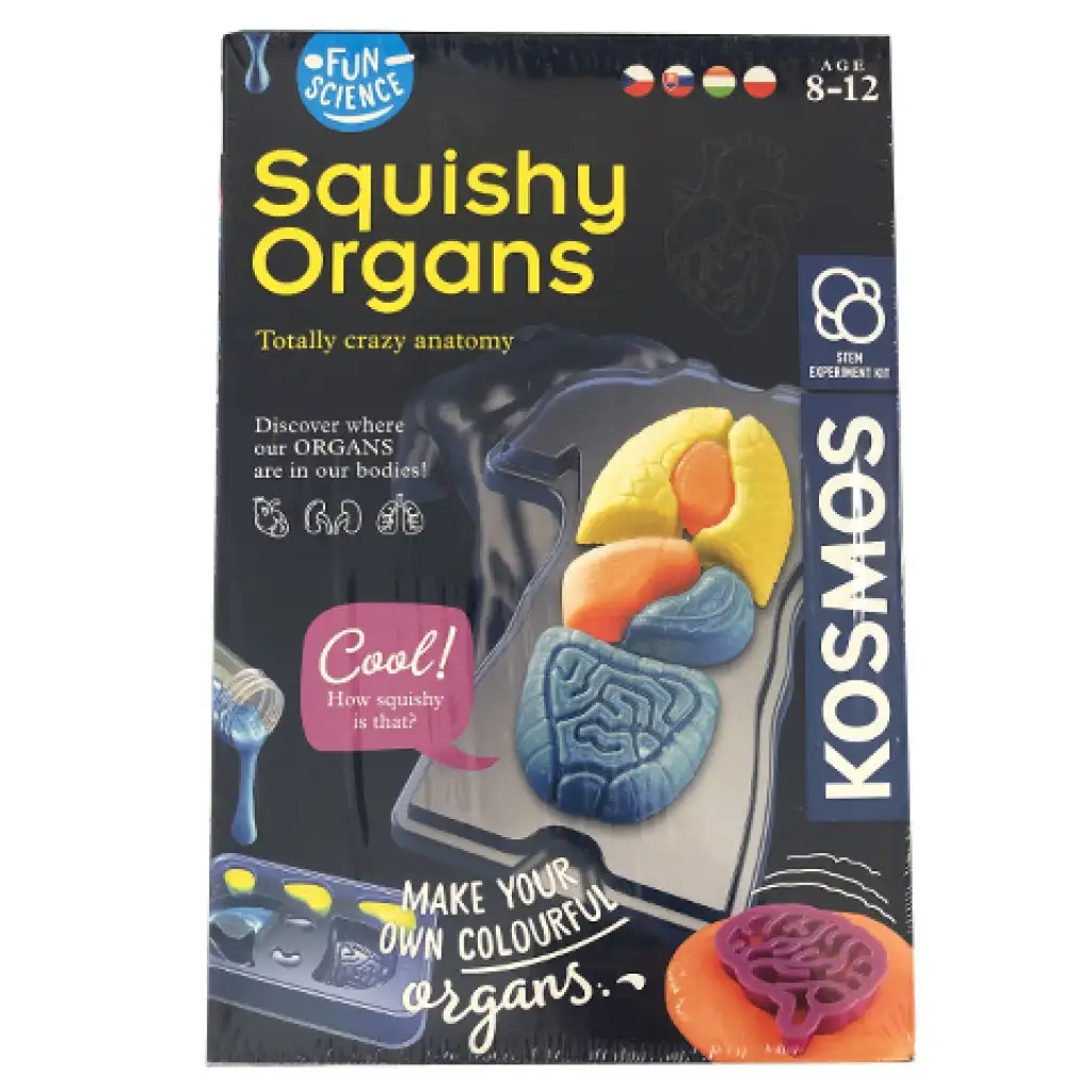 Fun Science - Squishy Organs játékszett -Piatnik kép 1