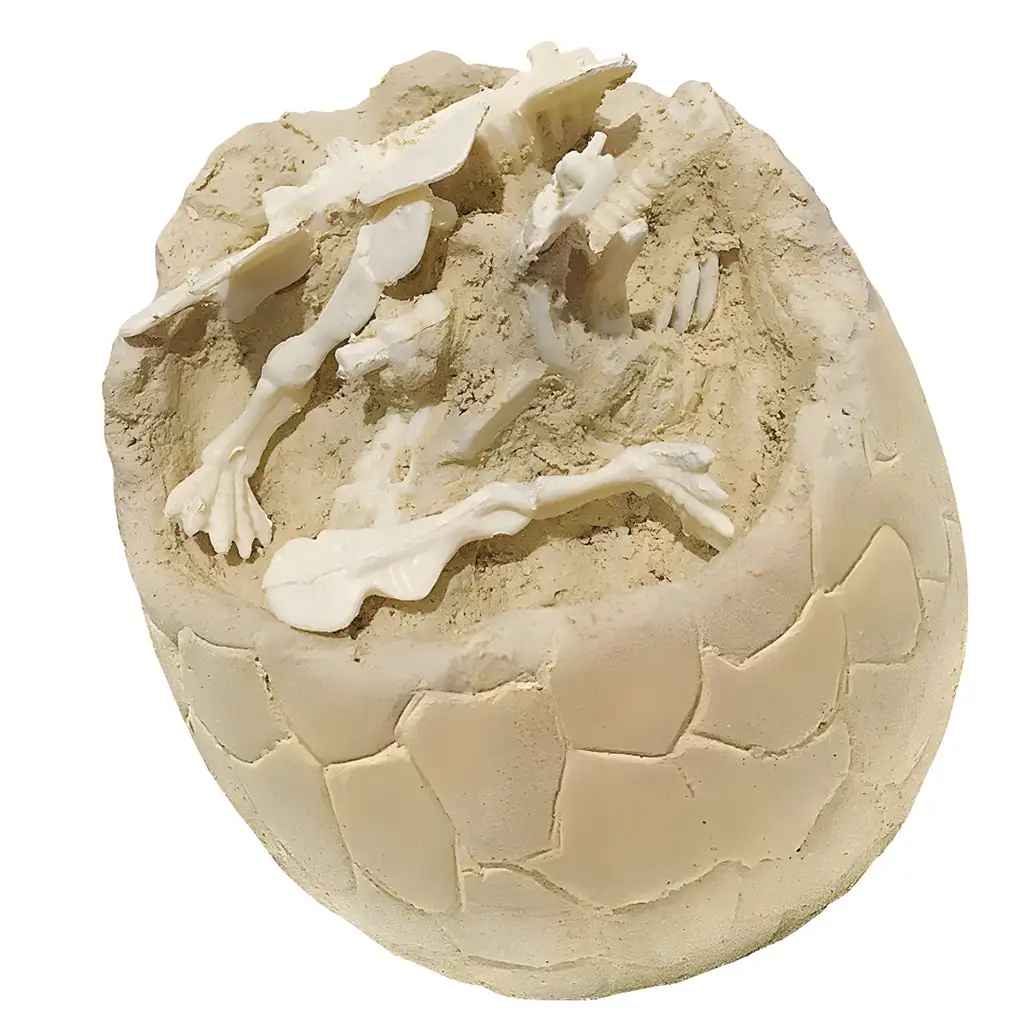 Dino Explorer: Archeologické prekvapenie - dinosauřie vajcia v rôznych variantoch kép 2