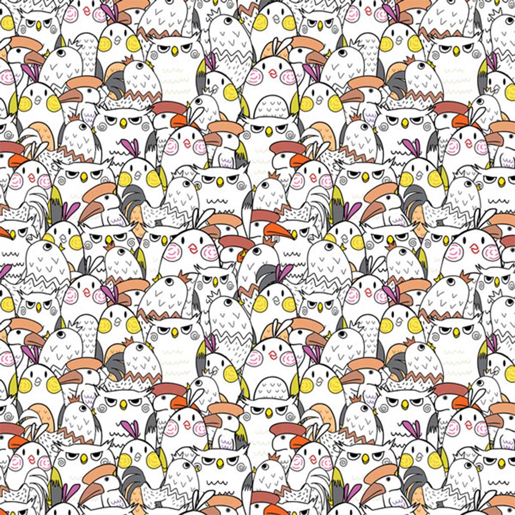 Cardex: Balený papier s veselým vzorom vtákov 100x70 cm