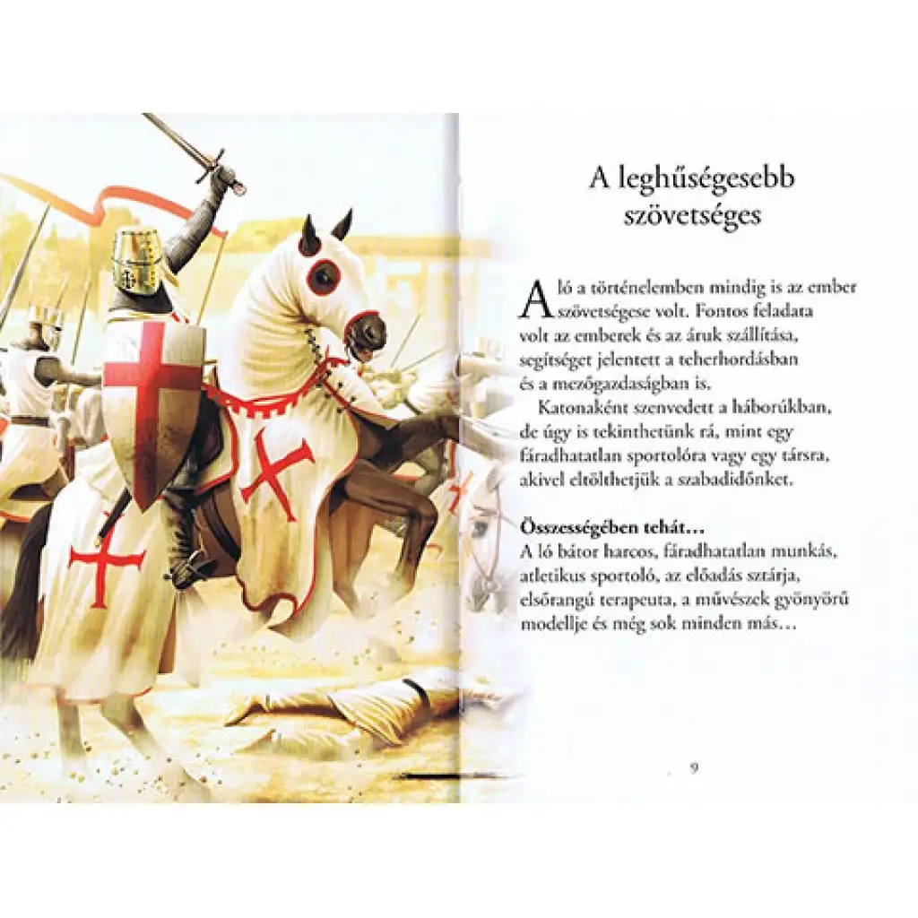 Čítaj s nami! (3) - Príbeh koní detská kniha kép 2