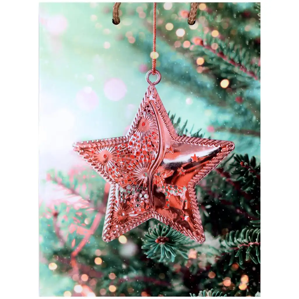 Darčeková taška s vianočným motívom hviezdy 17,5x22,5x9,5cm