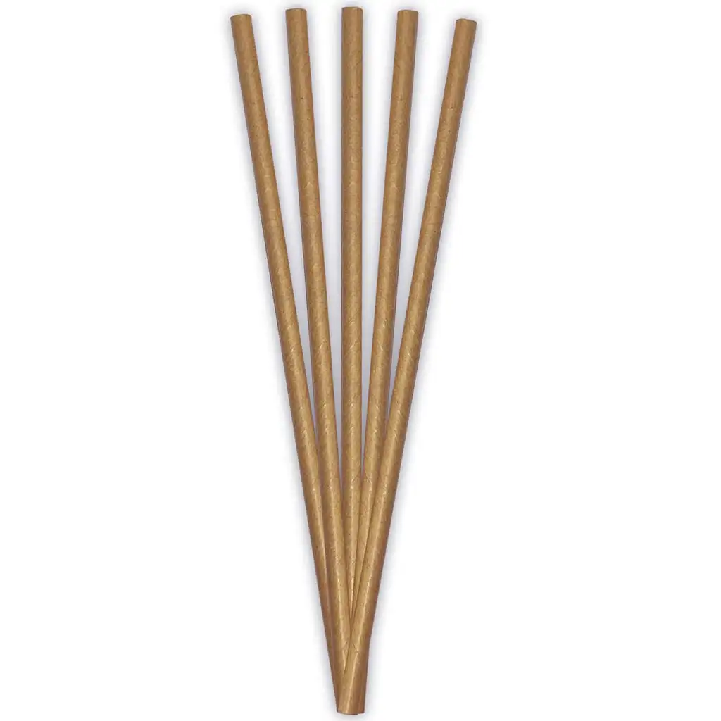 ECO papierové slamky – 20 cm, sada 24 ks