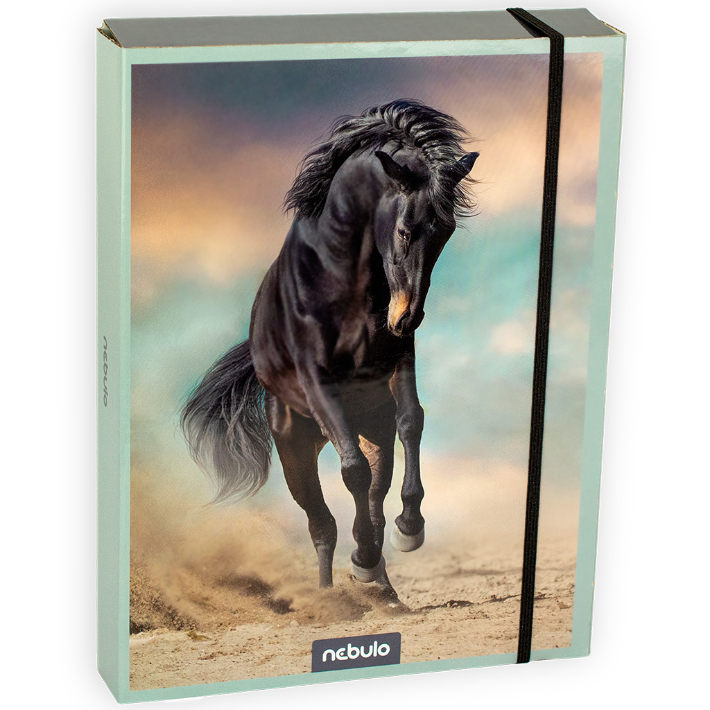 Nebulo: Box na zošity vo veľkosti A/5 s motívom koní