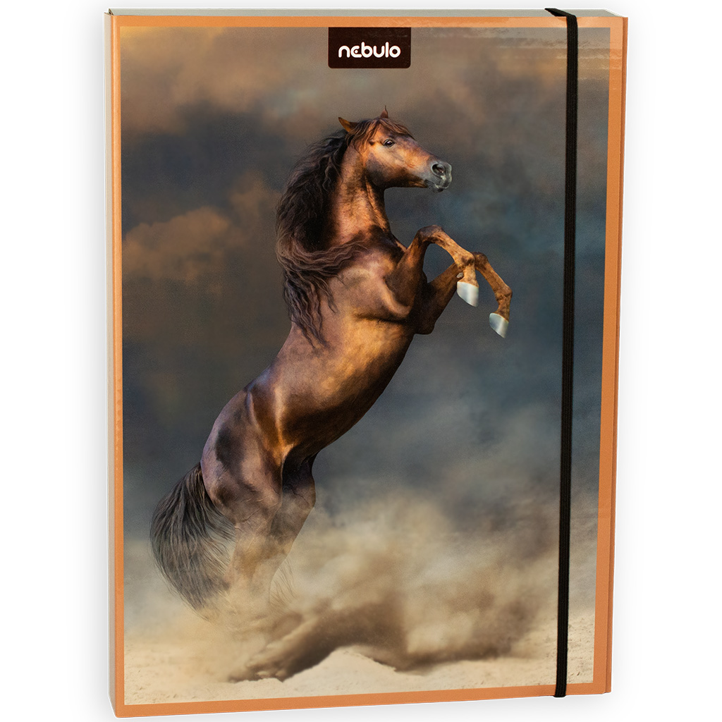 Nebulo: Box na zošity vo veľkosti A4 s motívom koní