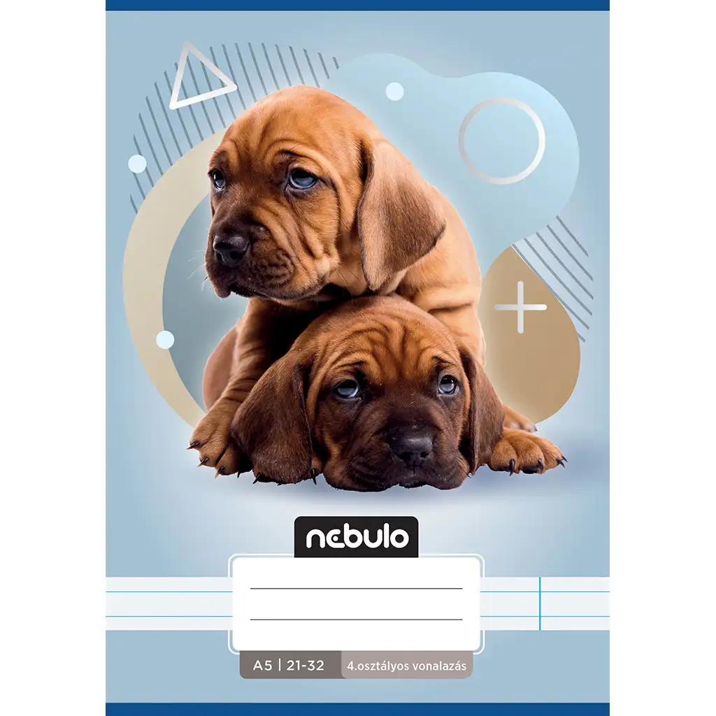 Nebulo: Dva psy vzor 4. ročník linajkový zošit A/5 21-32
