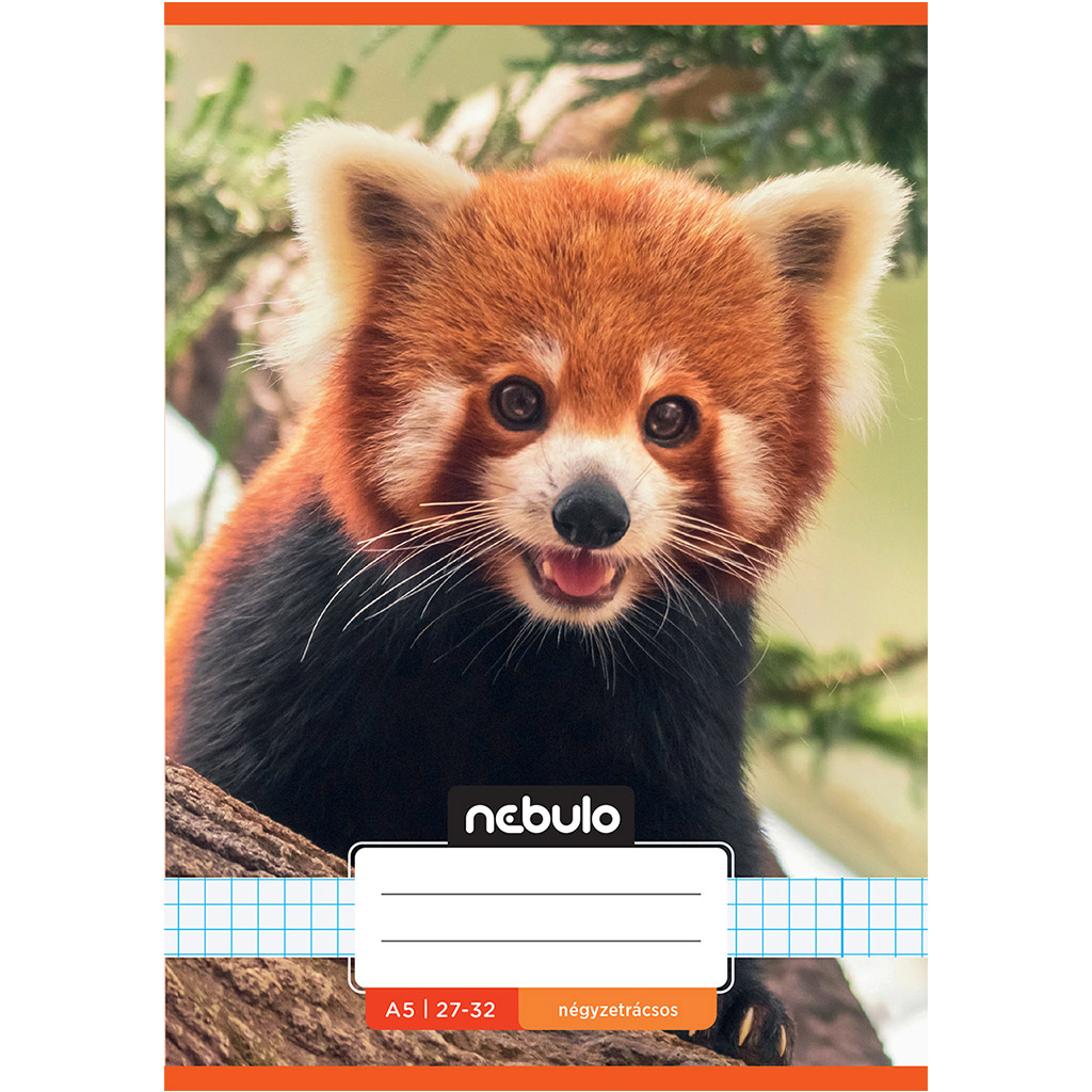 Nebulo: Zošit s červenou pandou so vzorom kociek 27-32 A/5