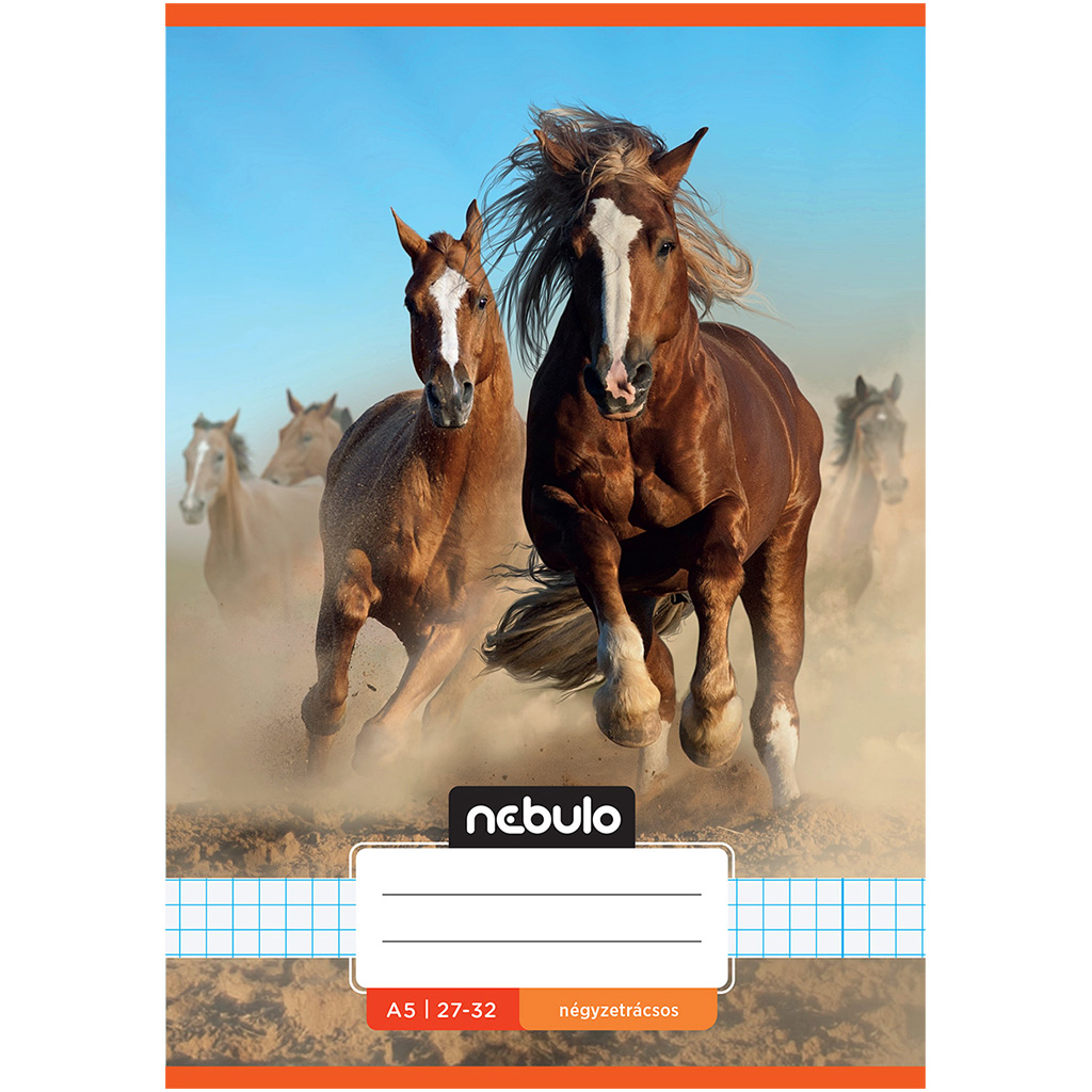 Nebulo: Zošit s károvaným vzorom s motívom divých koní, 27-32 A/5