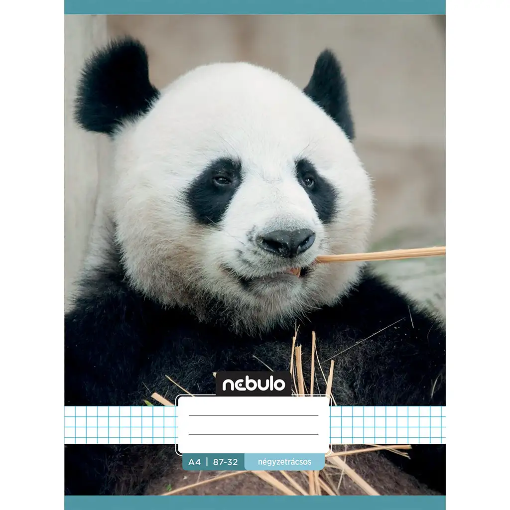 Nebulo: Zošit s kockovaným vzorom a pandou 87-32 A/4