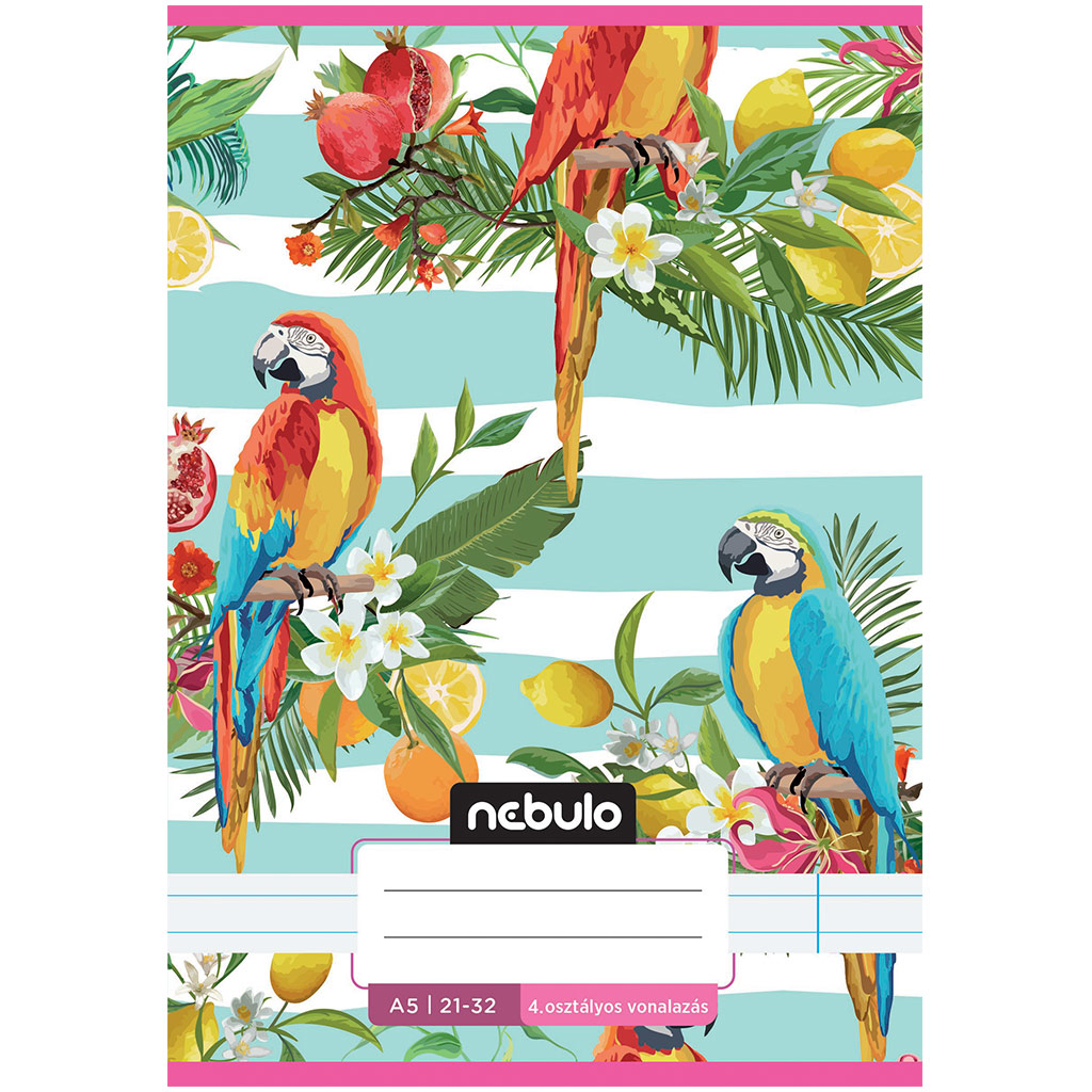 Nebulo: Zošit so zošívanou väzbou pre 4. ročník s papagájovým motívom, linajkový, 21-32, formát A/5