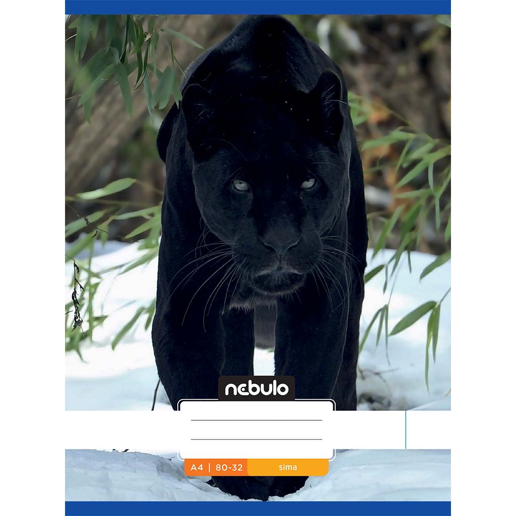 Nebulo: Zošívaný hladký zošit s čiernym páradčím vzorom 80-32 A/4