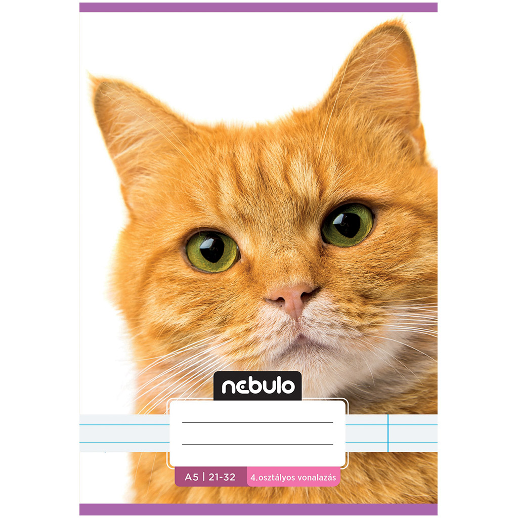 Nebulo: Zošívaný linajkový zošit pre 4. ročník s červenou mačacou potlačou 21-32 A/5