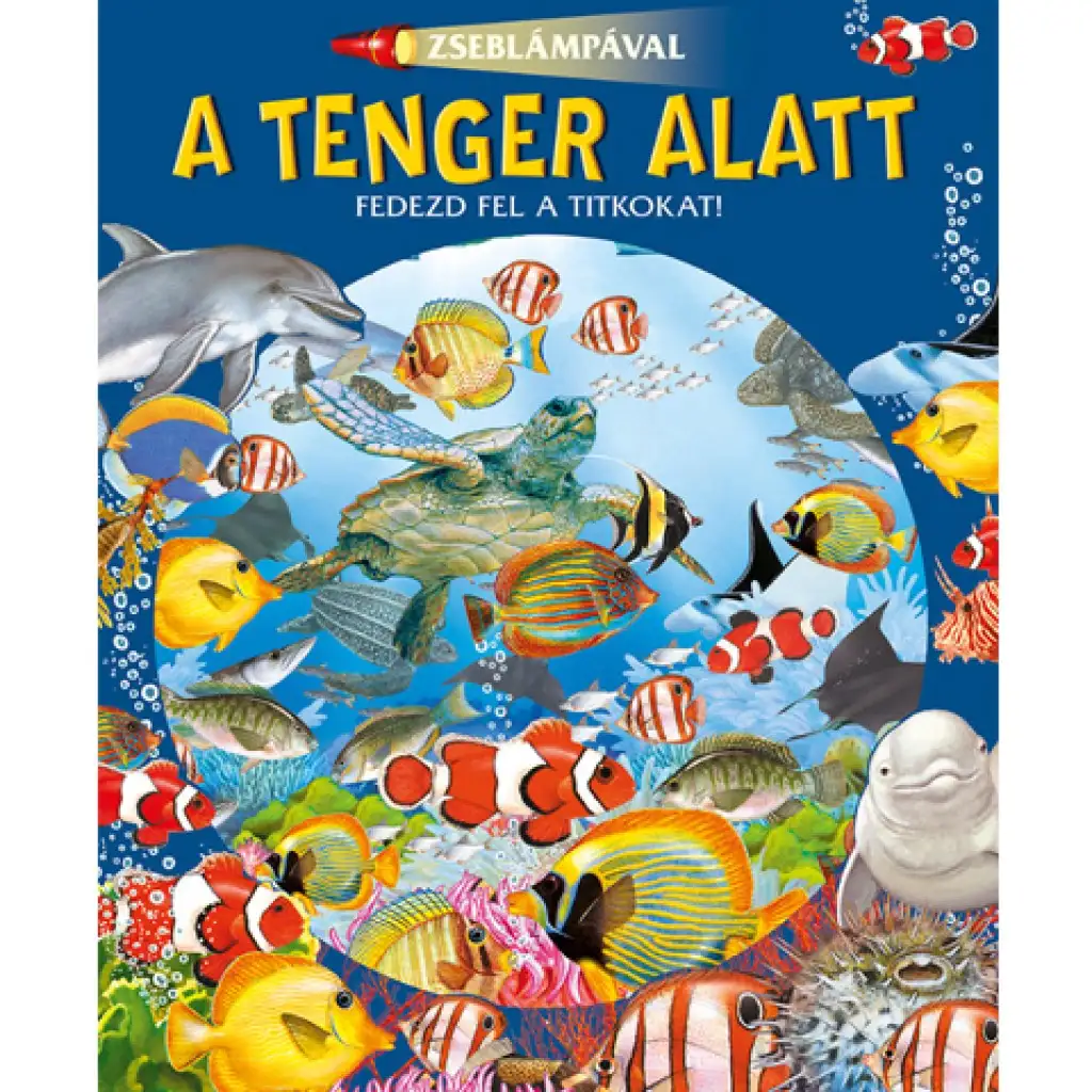 S baterkou - O mori pod hladinou, populárno-náučná kniha