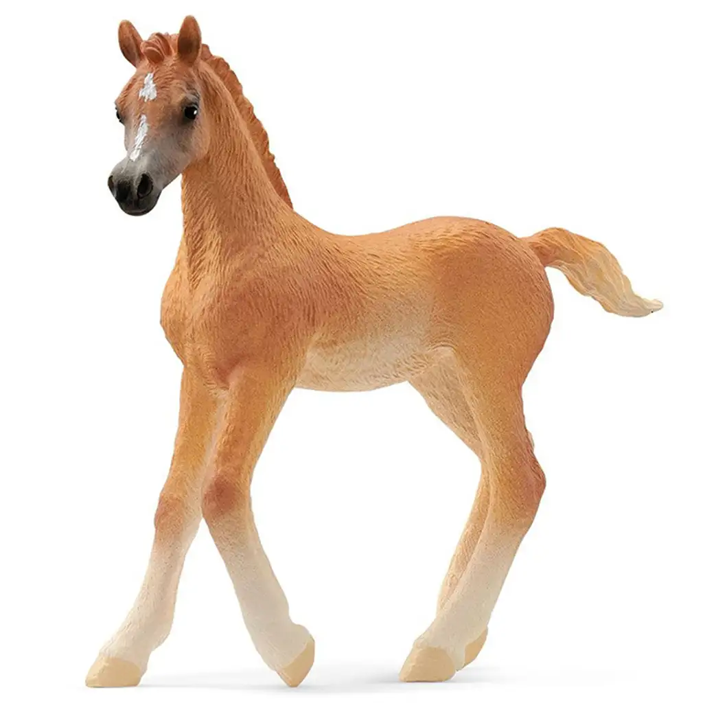 Schleich: Arabské žriebä figúrka (13984)