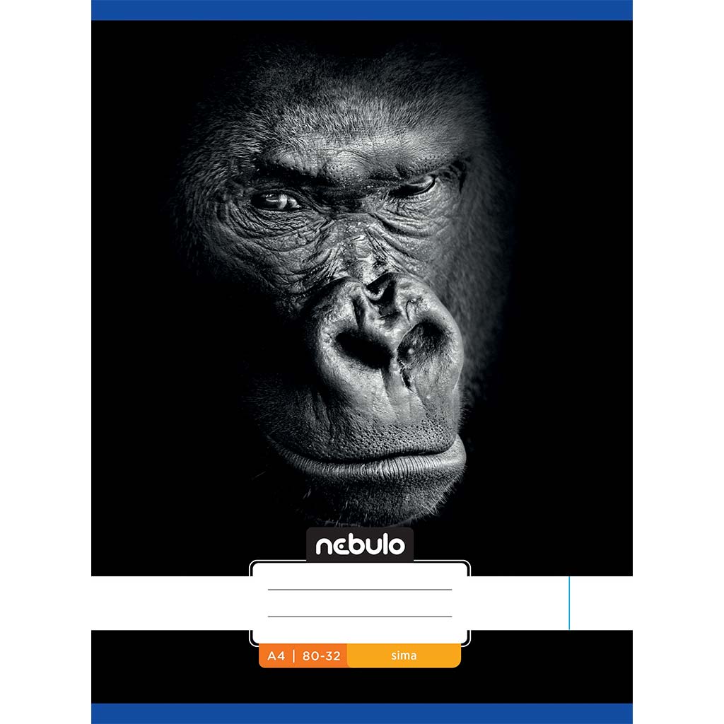 Zošit s gorilím motívom, zošívaný, čistý, 80-32, formát A4