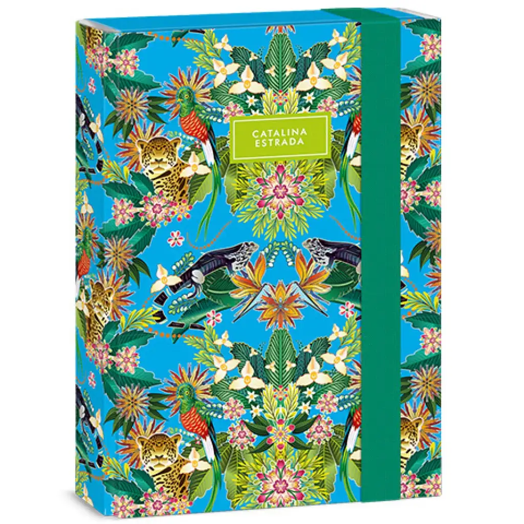 Ars Una: Catalina Estrada Iguana Jungle box na zošity A/5