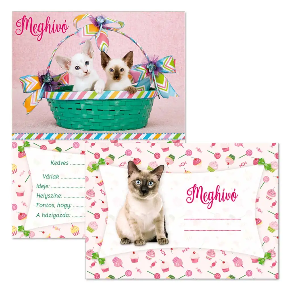 Ars Una: Mačacie pozvánky na párty s obálkou, 10 ks