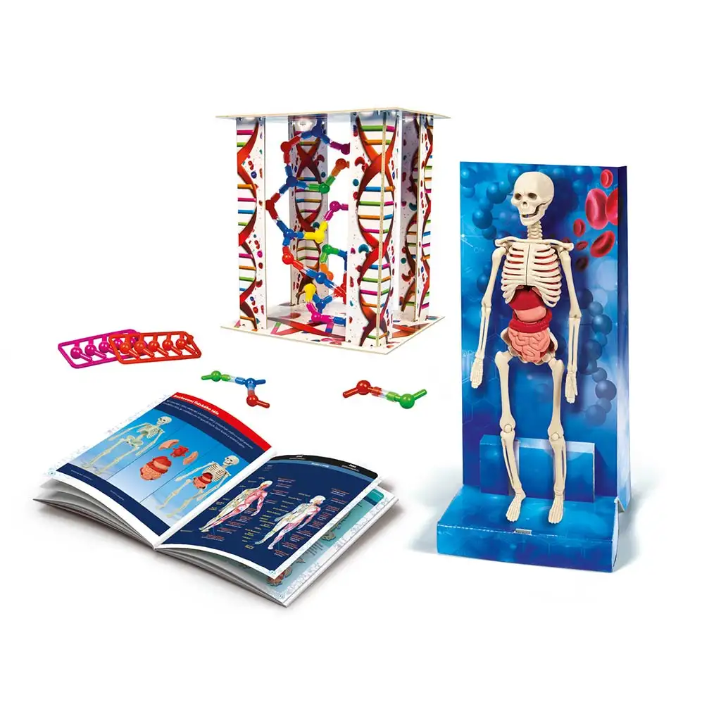 Vedecká sada o ľudskom tele - Clementoni kép 2