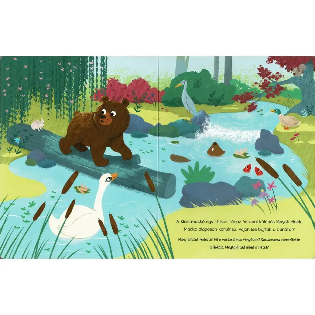 Čarovná lampa - Rozprávková kniha obyvateľov lesa kép 2