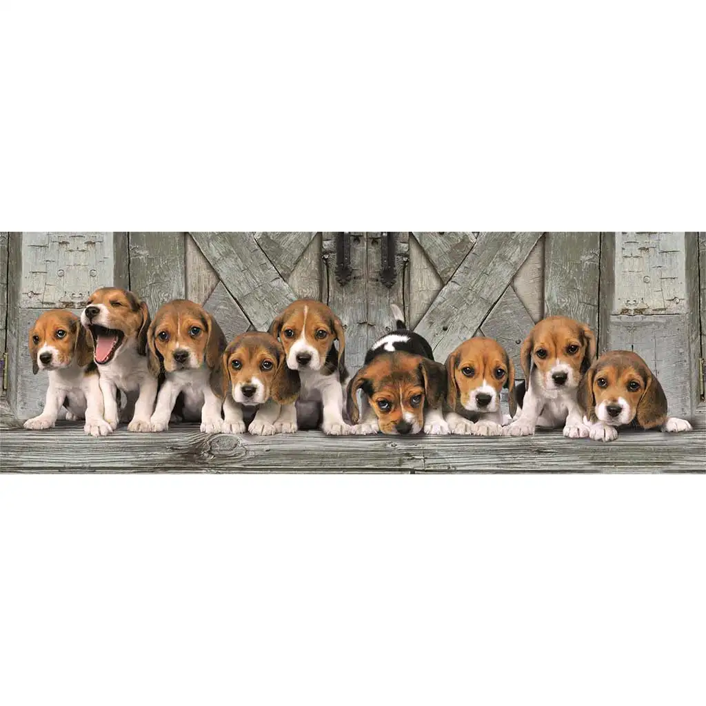 Beagle kutyusok 1000db-os panoráma puzzle 98x33cm - Clementoni kép 2