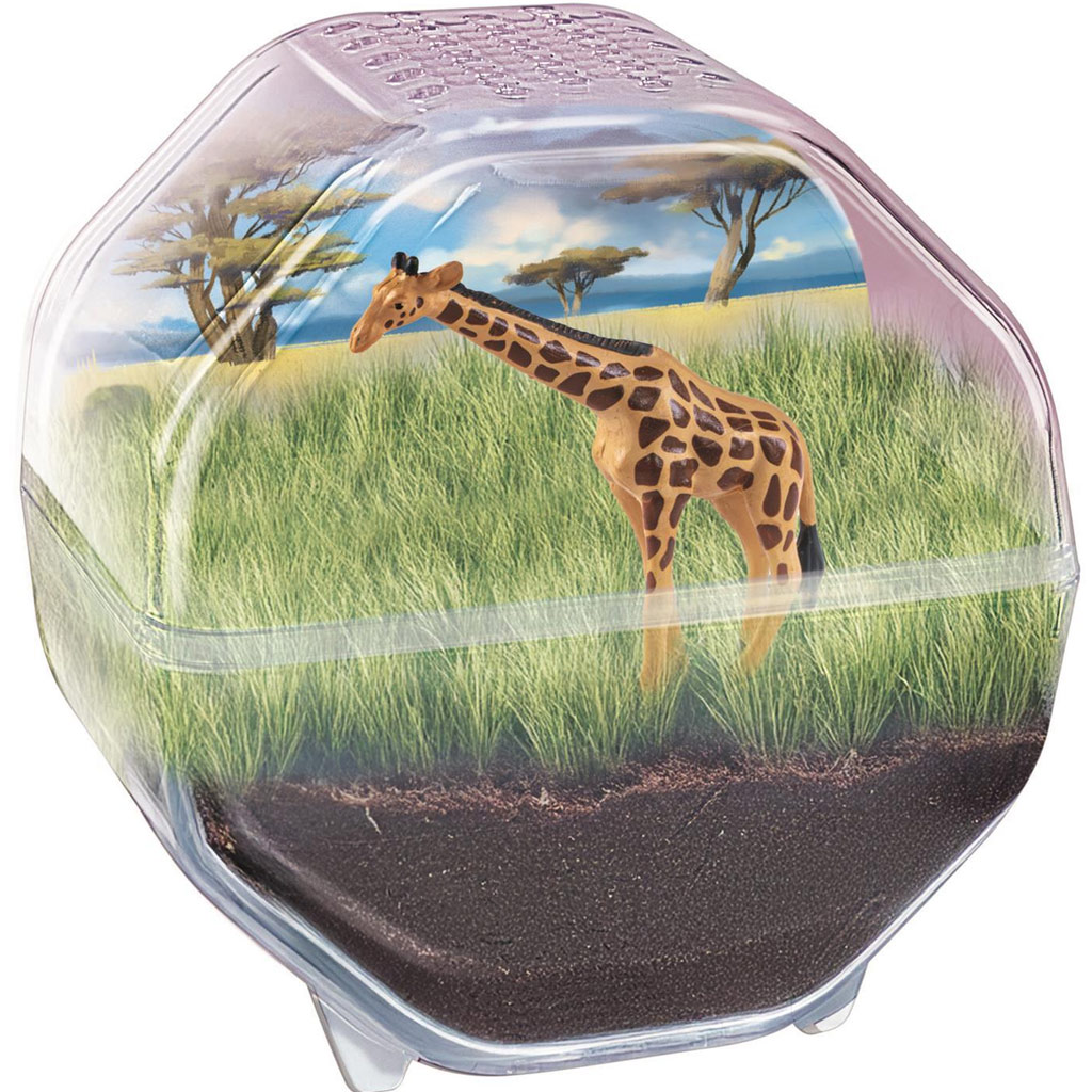 Science & Play: Mini terárium s figúrkou žirafy - Clementoni kép 2