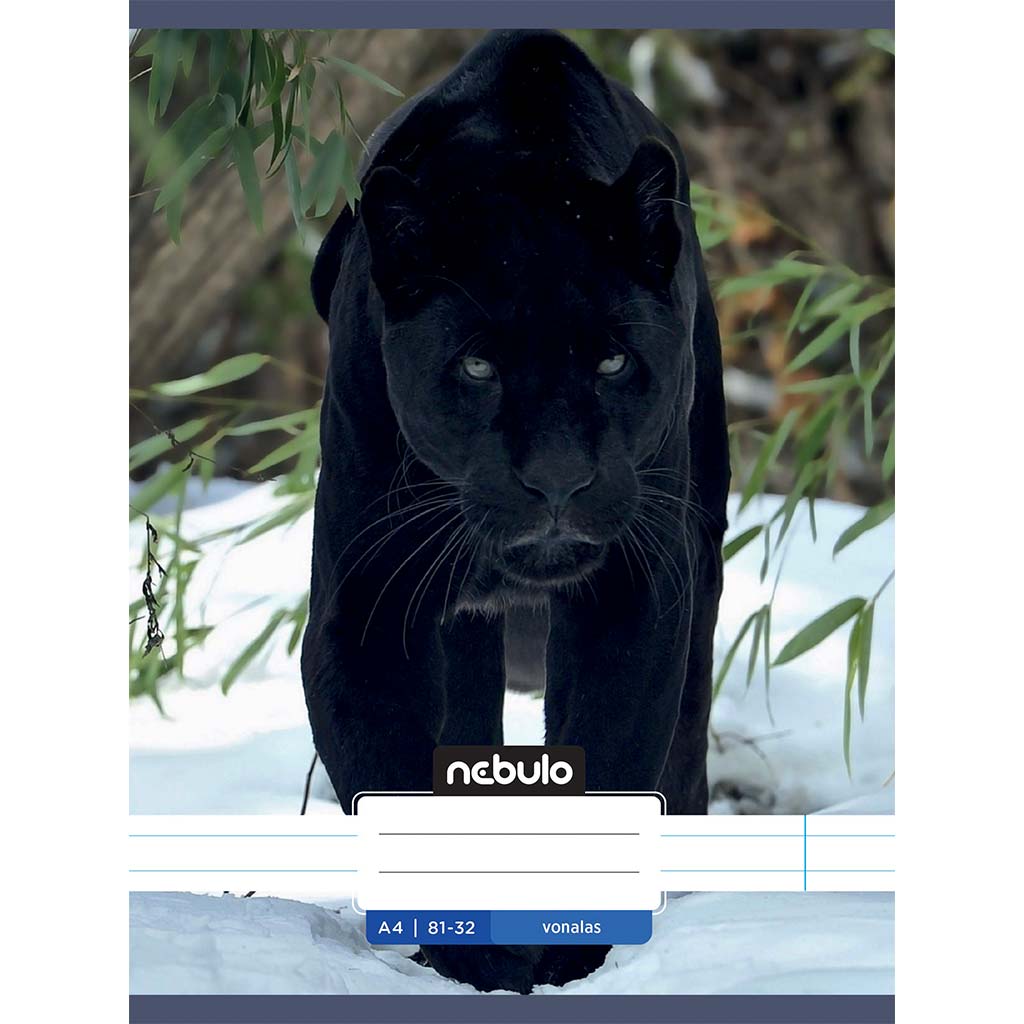 Nebulo: Zošit so šitou väzbou, linajkový, so zvieracím motívom – Čierny panter – vzorovaný zošit 81-32 A/4