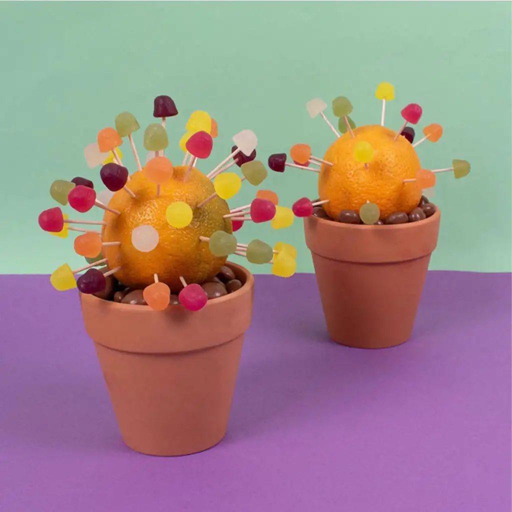 PlayBox: Sada 300 zubných špáradel kép 2