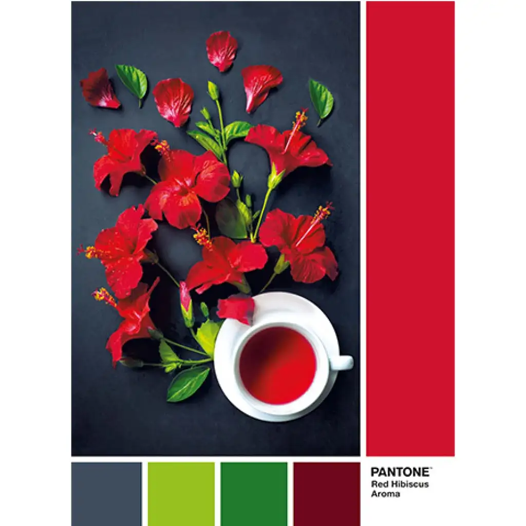 Pantone Ibištekový čaj 1000 dielne puzzle - Clementoni kép 2