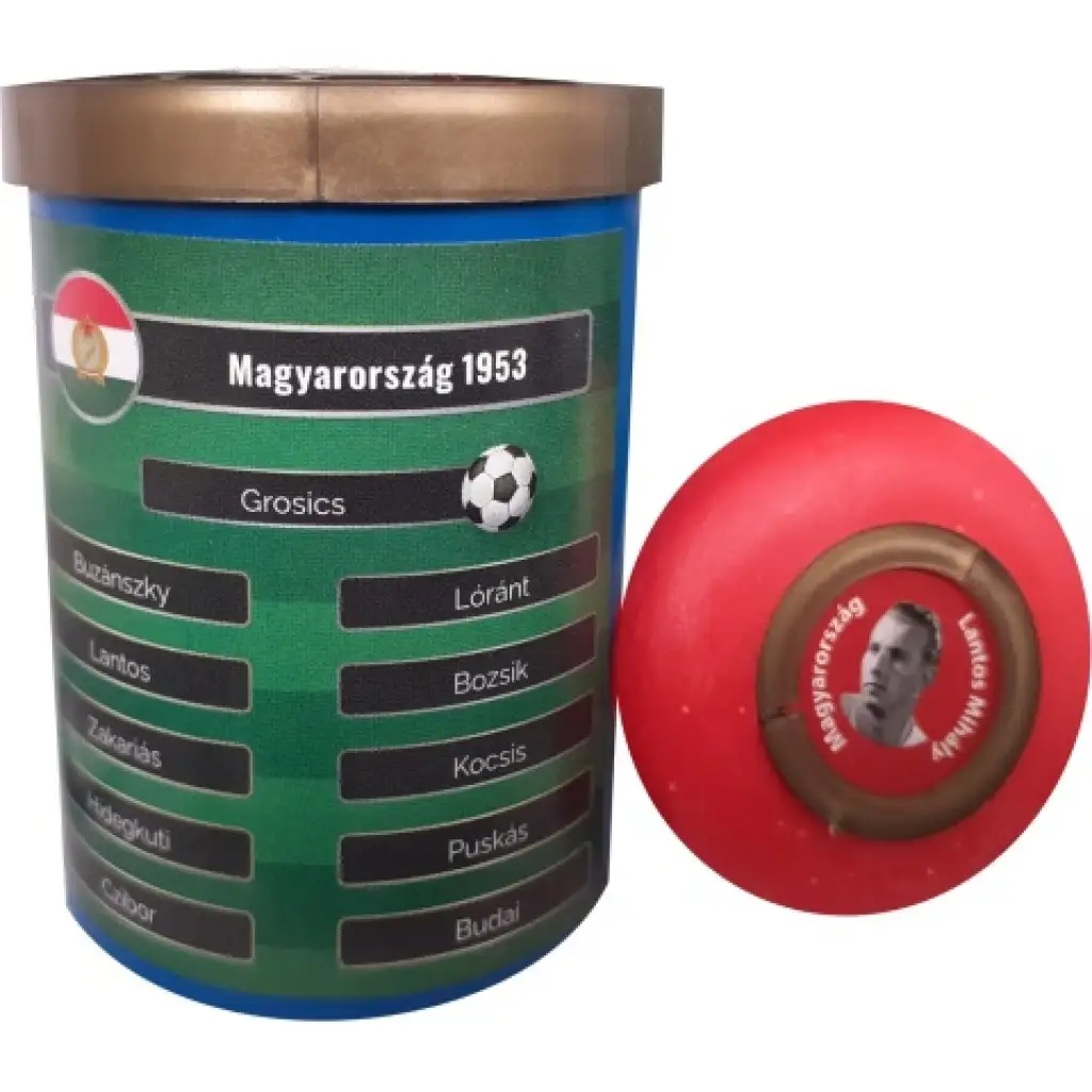 Družstvo gombíkového futbalu Reprezentačné mužstvo Maďarska 1953