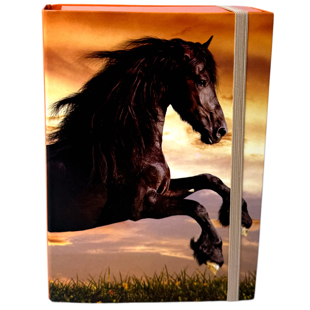 Nebulo: Box na zošity vo veľkosti A5 s čiernym motívom koňa