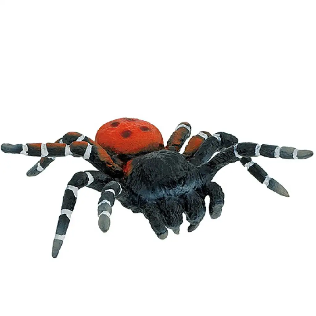 Pavúk Poecipelma hracia figúrka