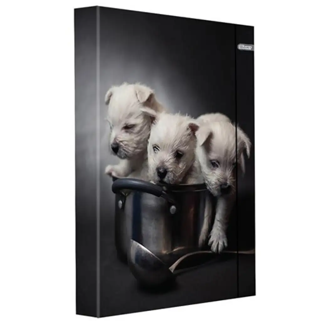 Spirit: Šteniatka box na zošity A/4 s gumičkou