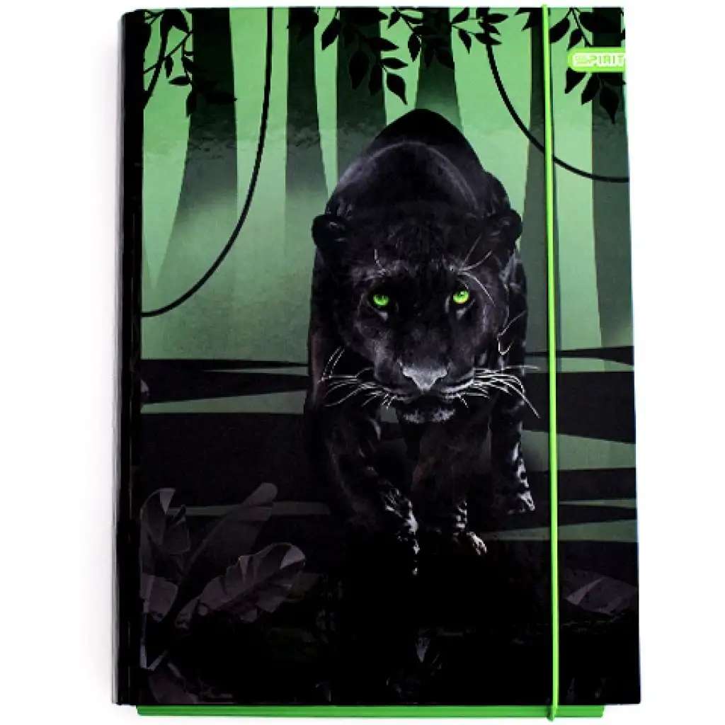 Spirit: Black Panther box na zošity A/4