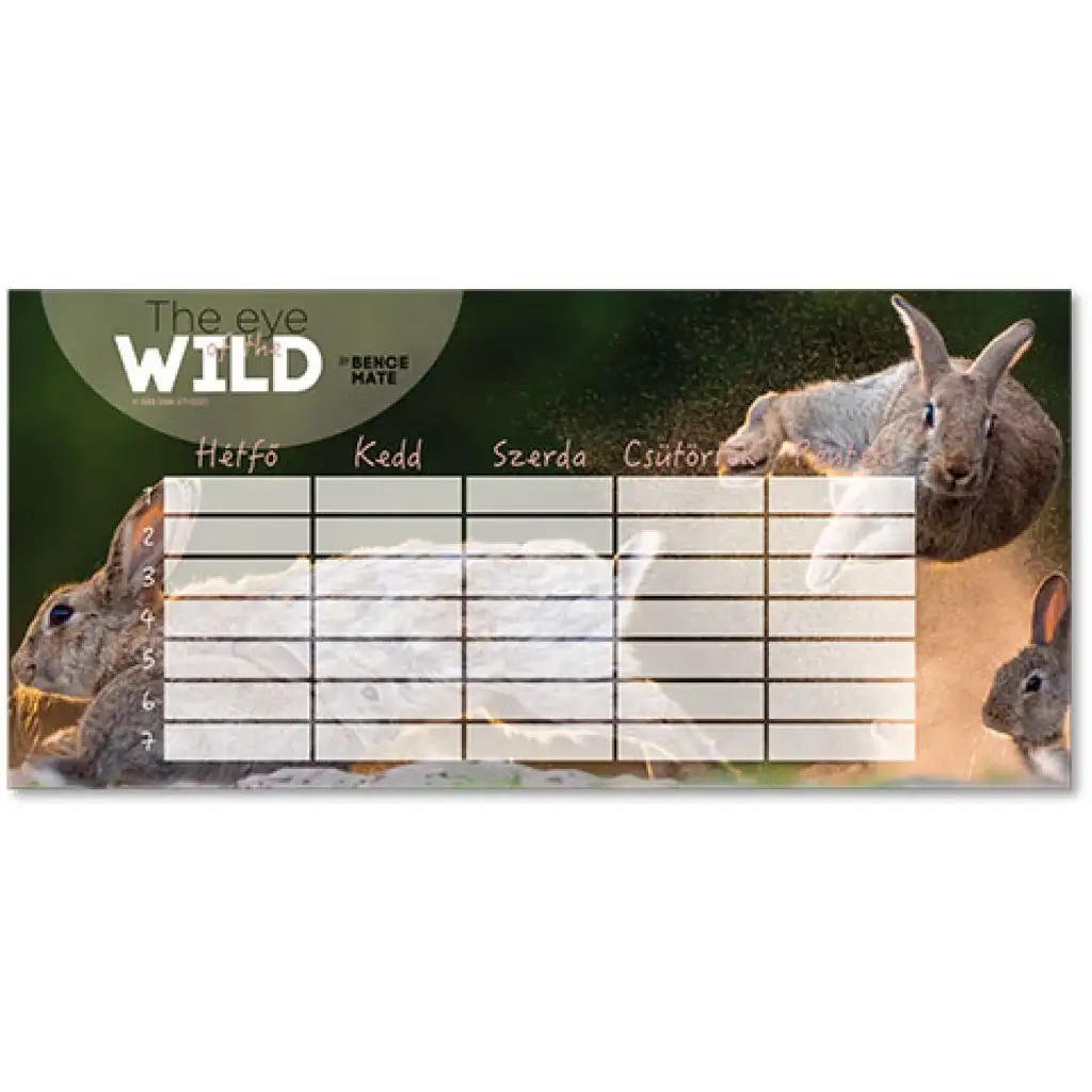 Ars Una: The Eye of the Wild Zajačik obojstranný rozvrh hodín