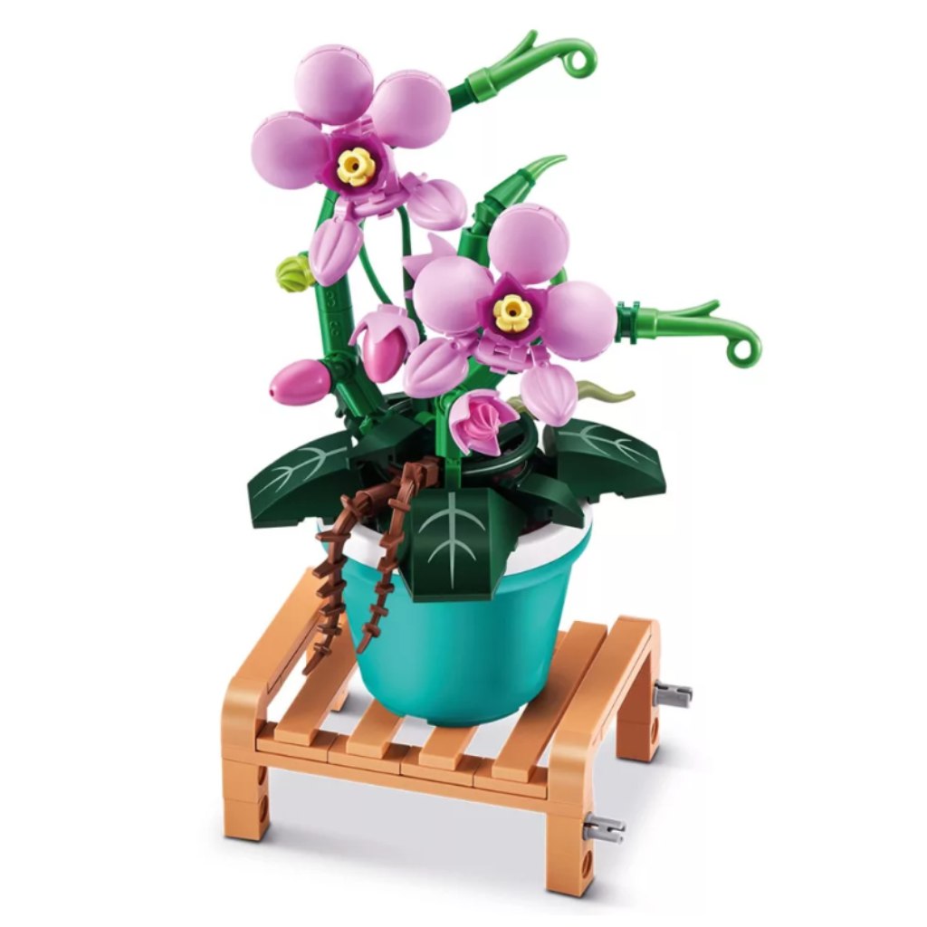 MAX Prémiová črepníková rastlina 1. séria v rôznych variantoch kép 4