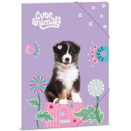 Ars Una: Cute animals - Aussie kutyás gumis dosszié A/4-es méret