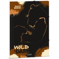 Ars Una: Wild in the dark oroszlánok gumis dosszié A/4-es méret
