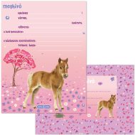 Ars Una: Cute Animals Horse lovas 10db-os meghívó szett borítékkal