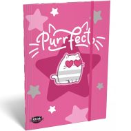 ICO: Lizzysuli Kittok stars cicás gumis mappa A/5