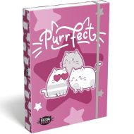 ICO: Lizzysuli Kittok stars cicás gumis füzetbox A/4