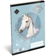 ICO: Lizzysuli Wild Beauty Sport Club 1.osztályos vonalas füzet