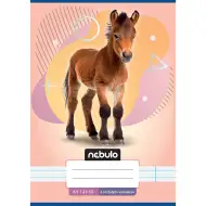 Nebulo: Paci mintás 4.osztályos vonalas füzet A/5 21-32